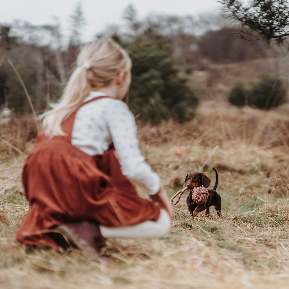 Schleuderball Inari für Hunde