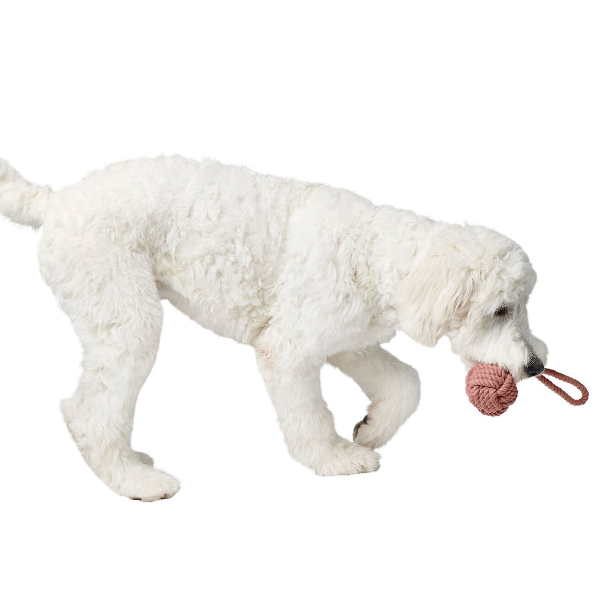 Schleuderball Inari für Hunde