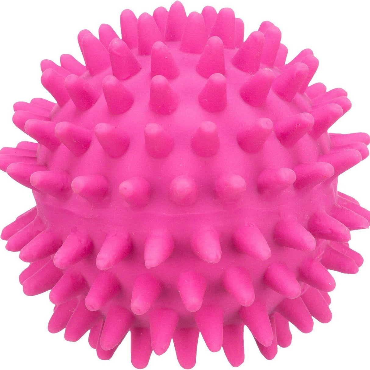 Igelball aus Latex für Hunde