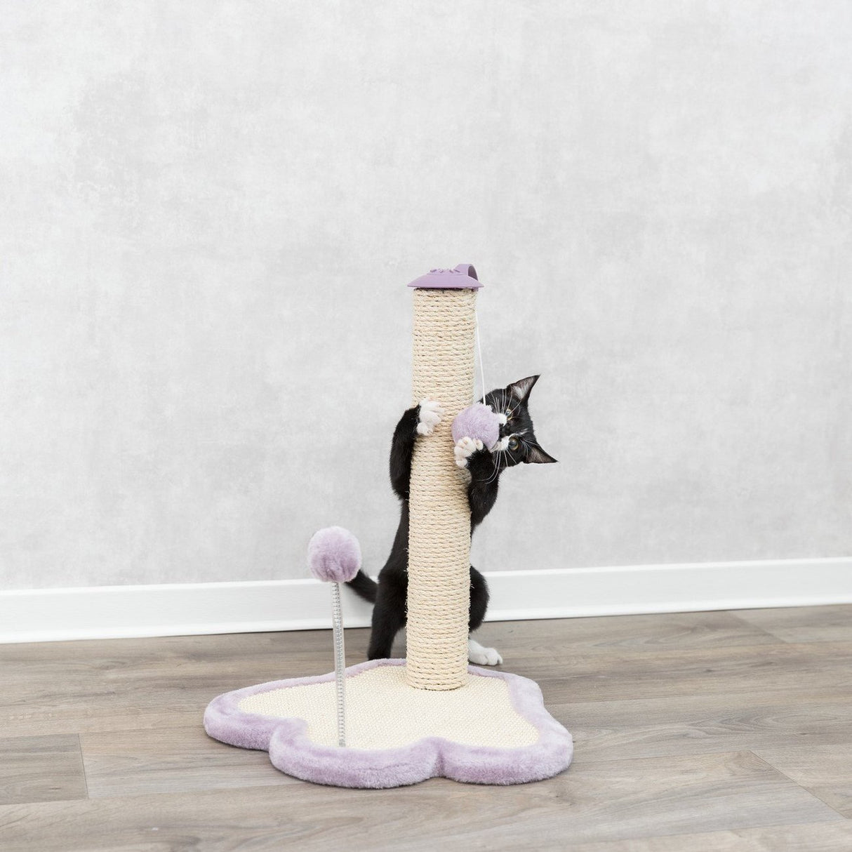 Junior Kratzpfote mit Stamm für Kitten