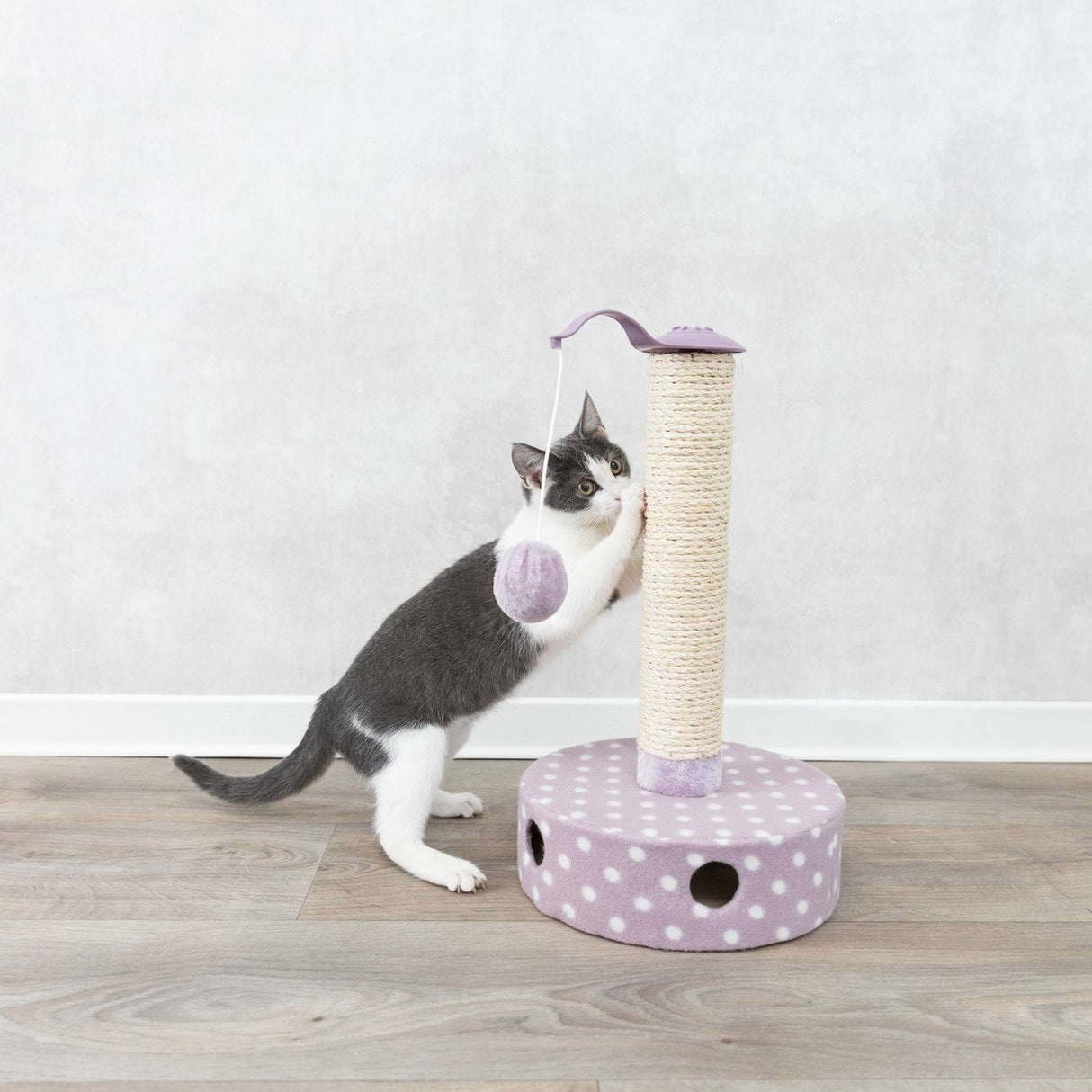 Junior Kratzstamm mit Spielzeug für Kitten