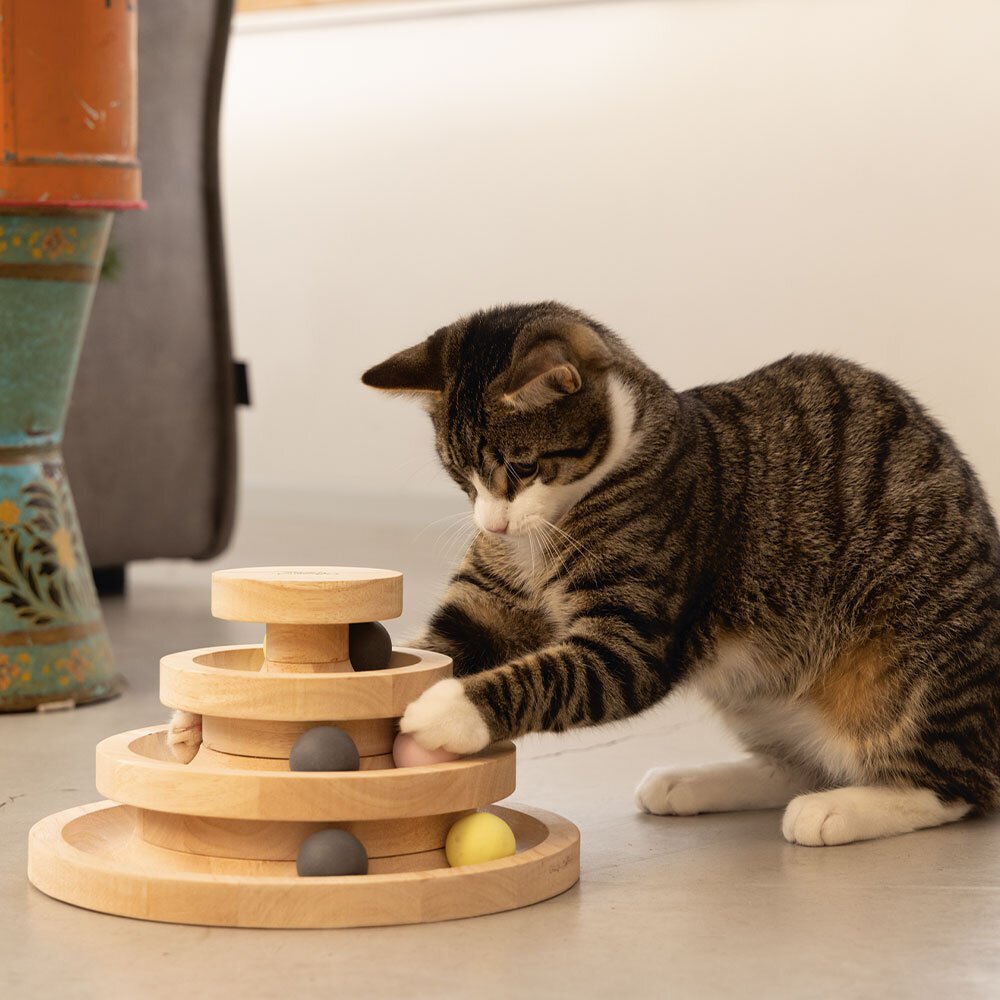 Katzen Holz Spielturm Mia