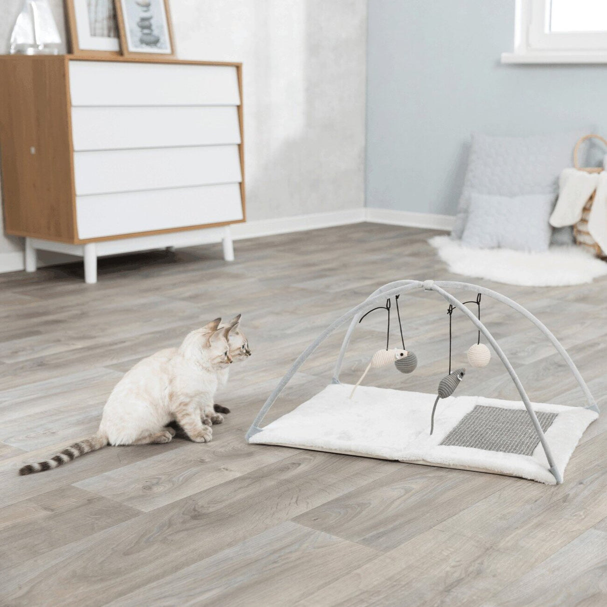 Katzen Kratzmatte Spielbogen für Katzen