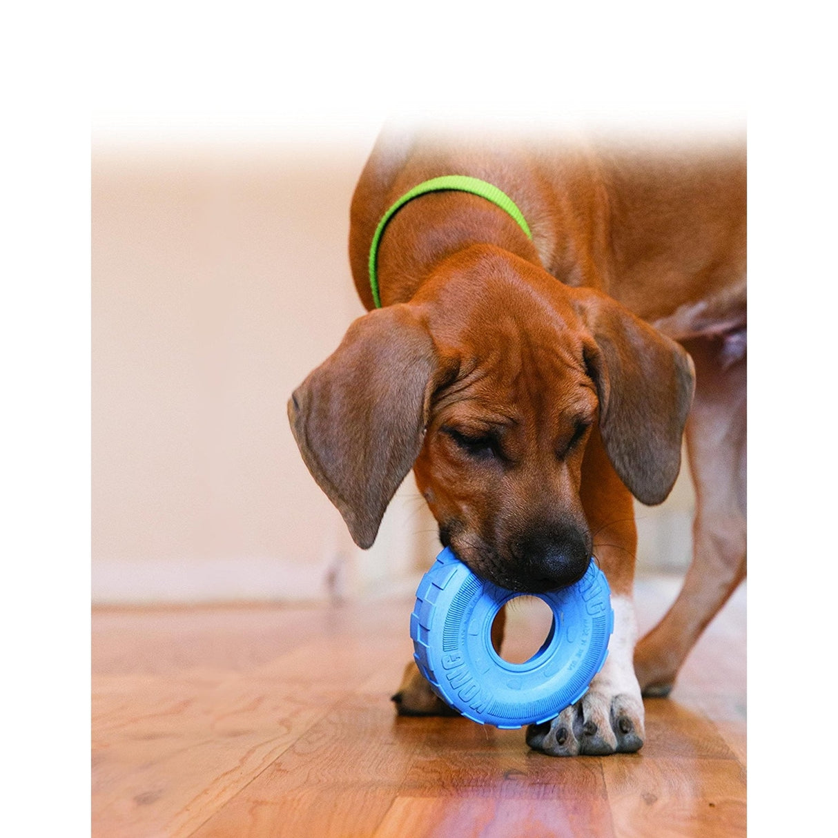 Puppy Tyres Welpenspielzeug