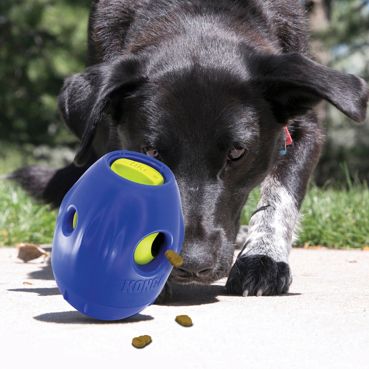 Tikr Futterspender Hundespielzeug