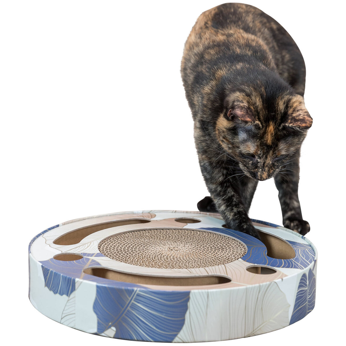 Kratztrommel mit Spielzeug für Katzen