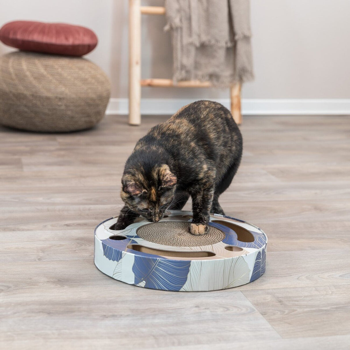 Kratztrommel mit Spielzeug für Katzen
