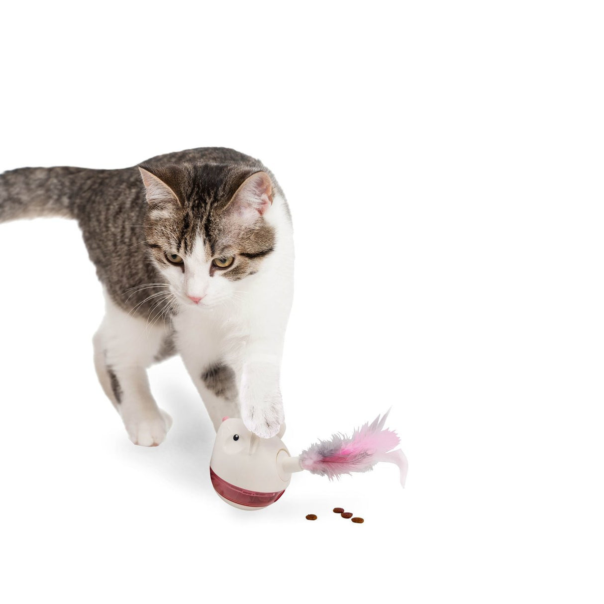 Snackspielzeug Maus mit Federn