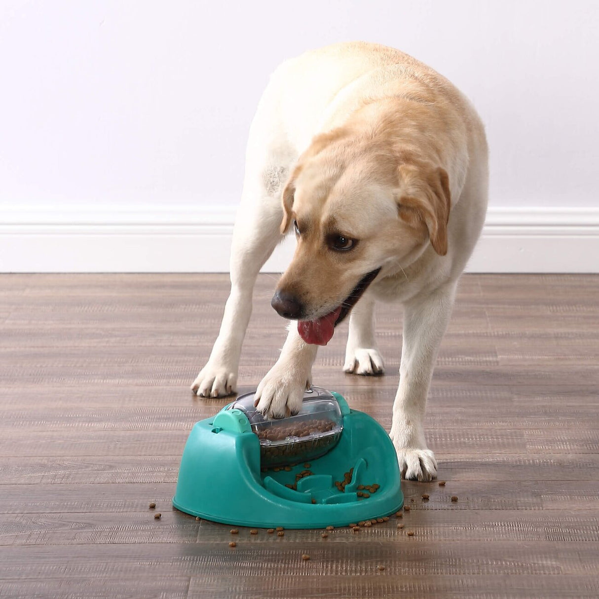 Spin n Eat Snackspielzeug für Hunde