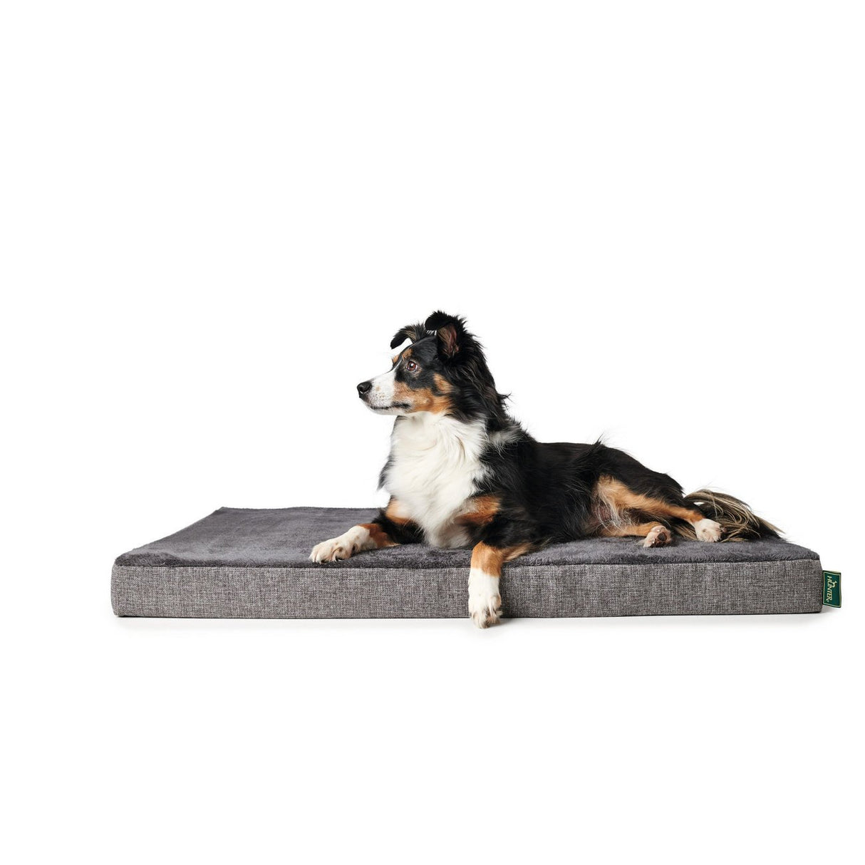 Orthopädische Hundematte Tirano von Hunter