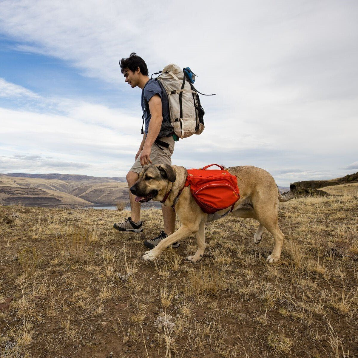 Ruffwear Hunderucksack Palisades™ Pack