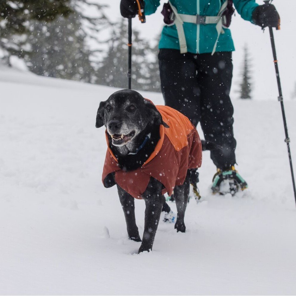 Vert Dog Jacket Hunde Wintermantel