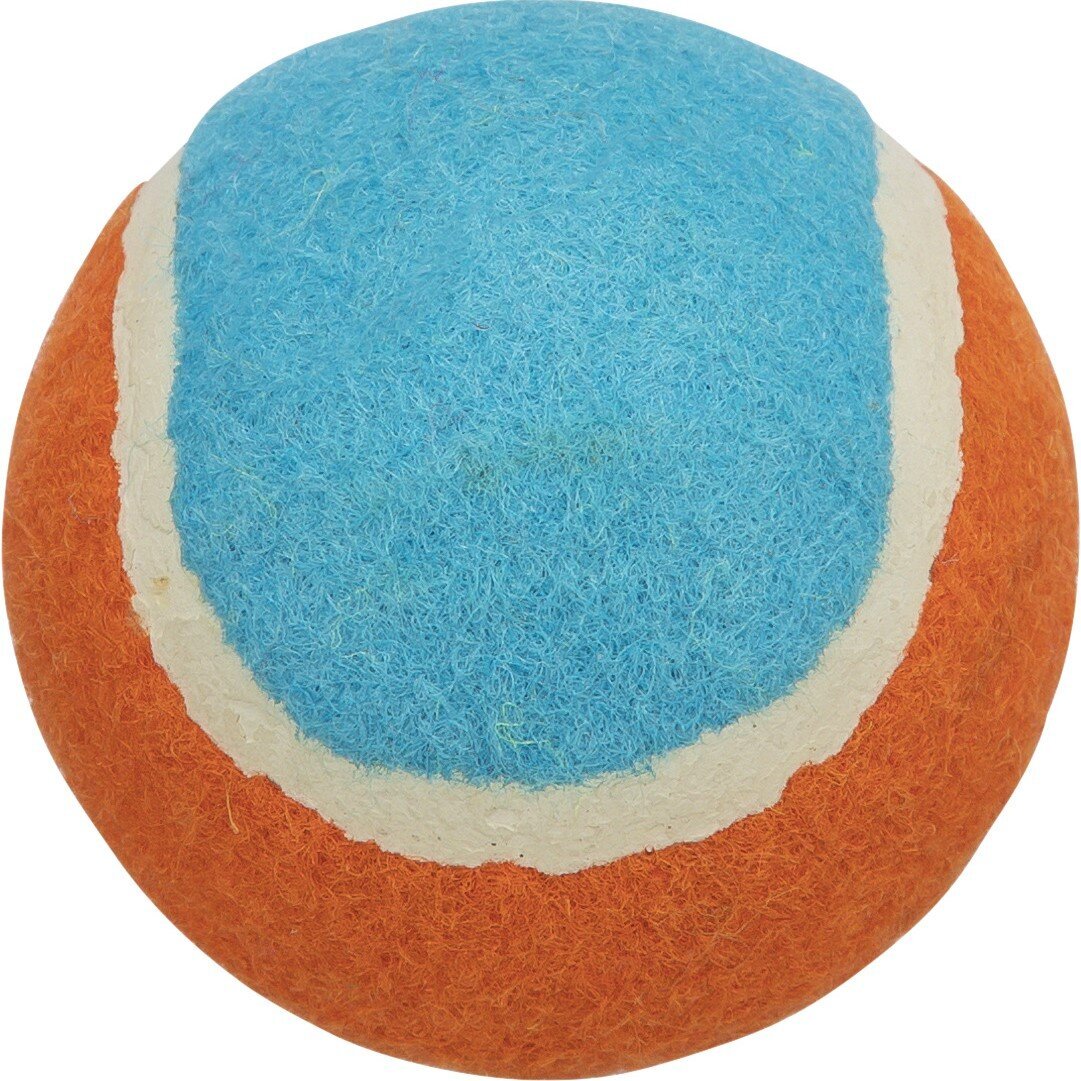 farbenfroher Hunde Tennisball