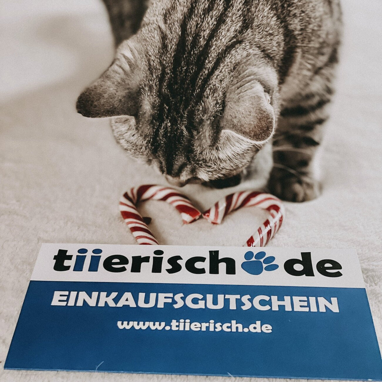 tiierisch.de Einkaufs Gutschein zum Verschenken