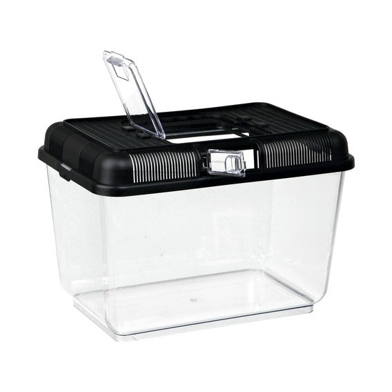 Transportbox Fütterungsbox für Terrarium