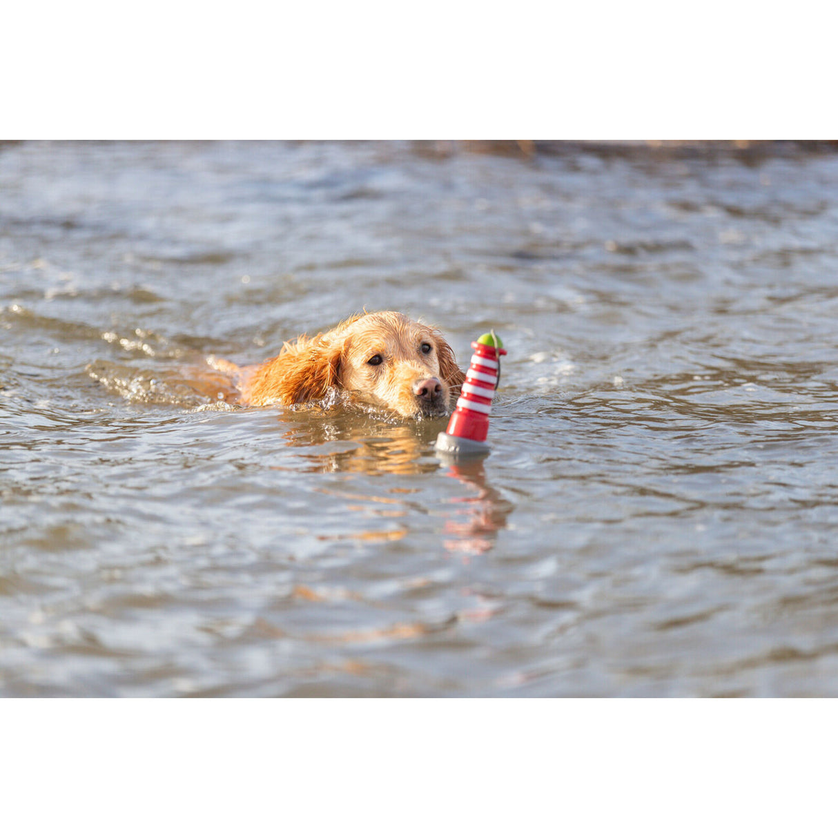 Aqua Toy Leuchtturm, Wasserspielzeug Hund