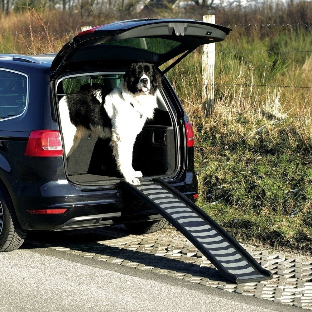 klappbare Kofferraumrampe für Hunde