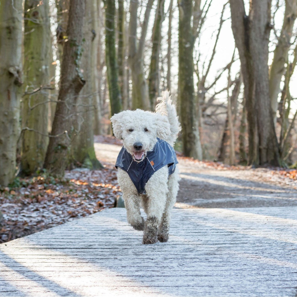 BE NORDIC Hunde Regenmantel Husum wasserdicht