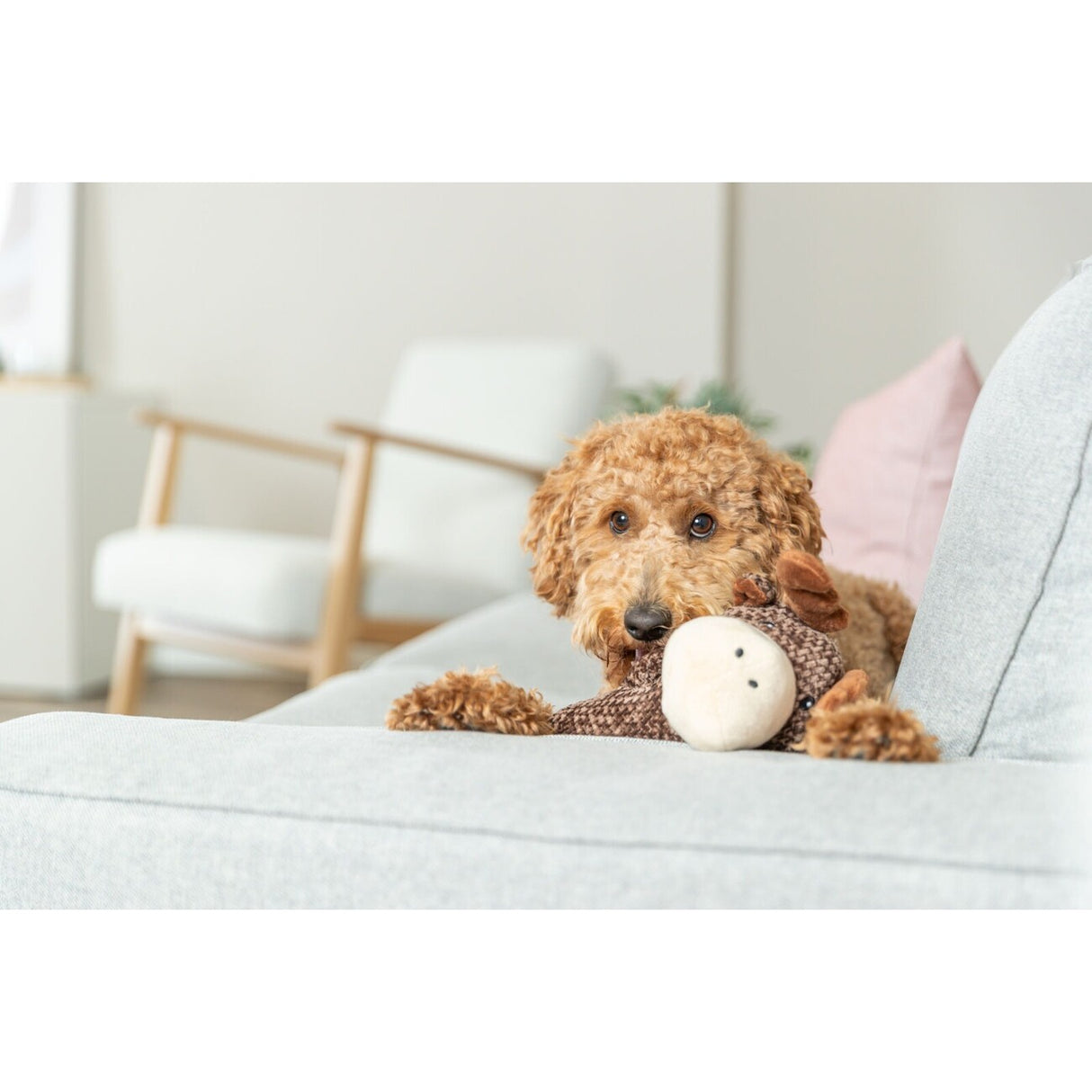 Hundespielzeug Elch aus Plüsch