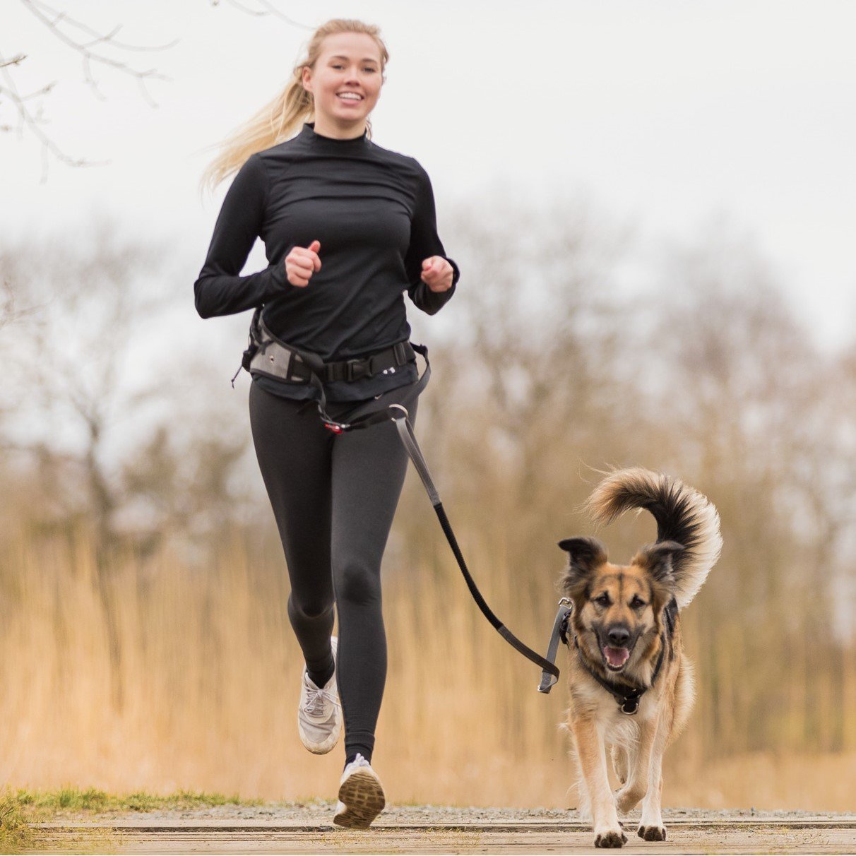 Joggingleine Hund mit Schnelllösefunktion