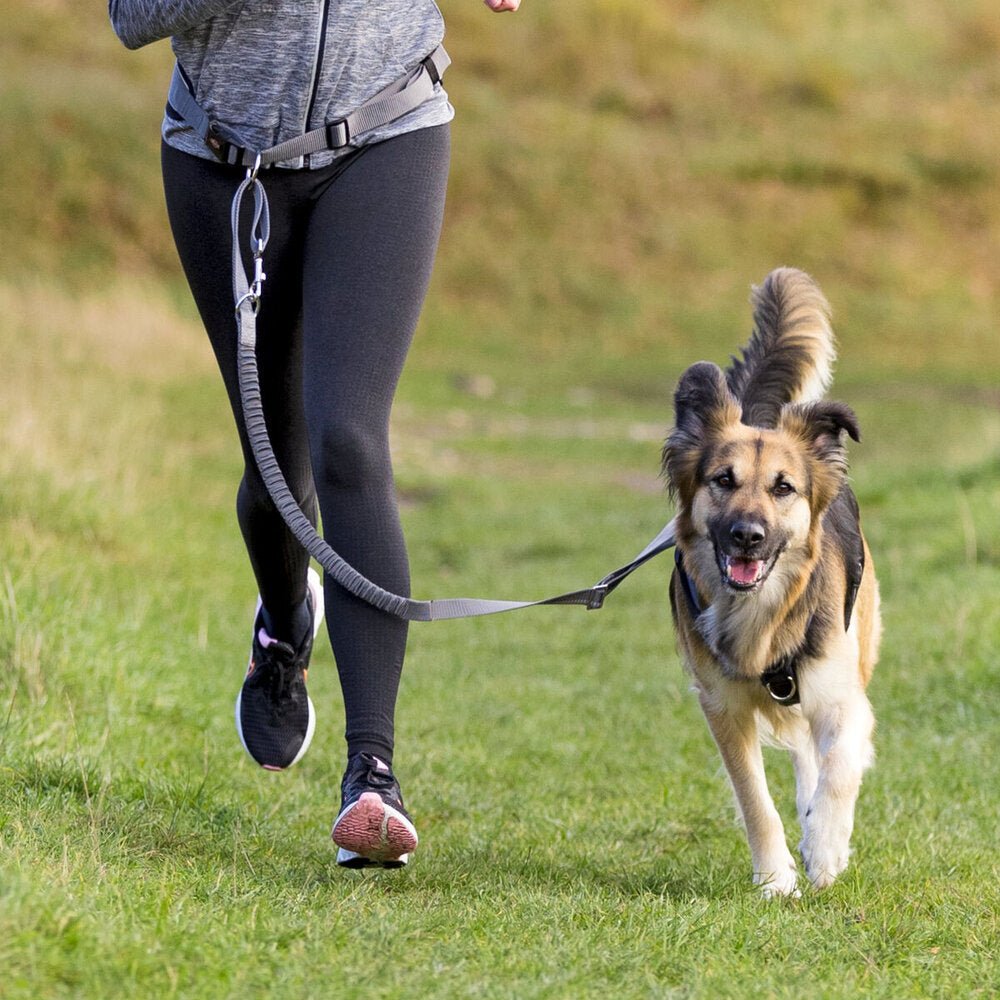 Joggingleine mit Bauchgurt für Hundehalter