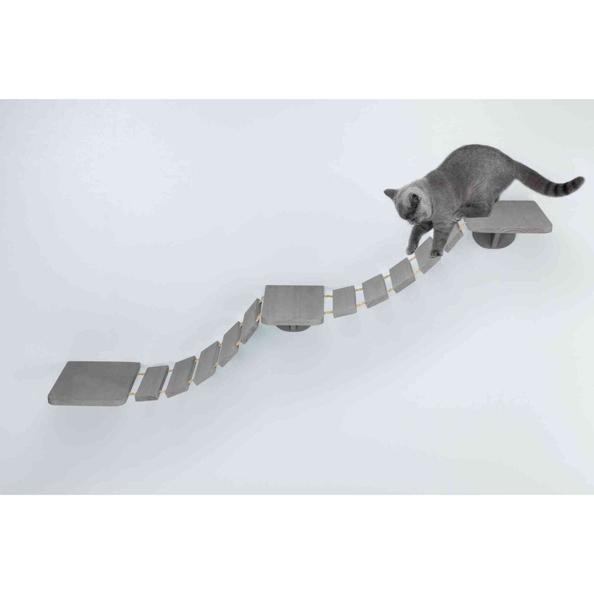 Katzen Kletterleiter zur Wandmontage