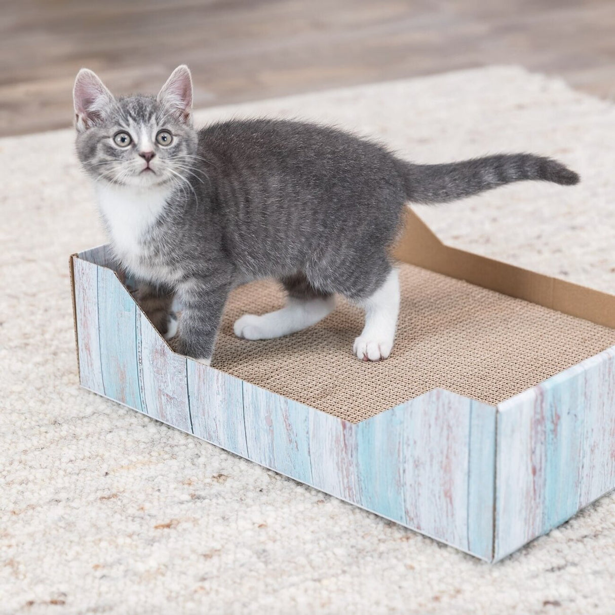 Katzen Kratzbett in bunter Holzoptik
