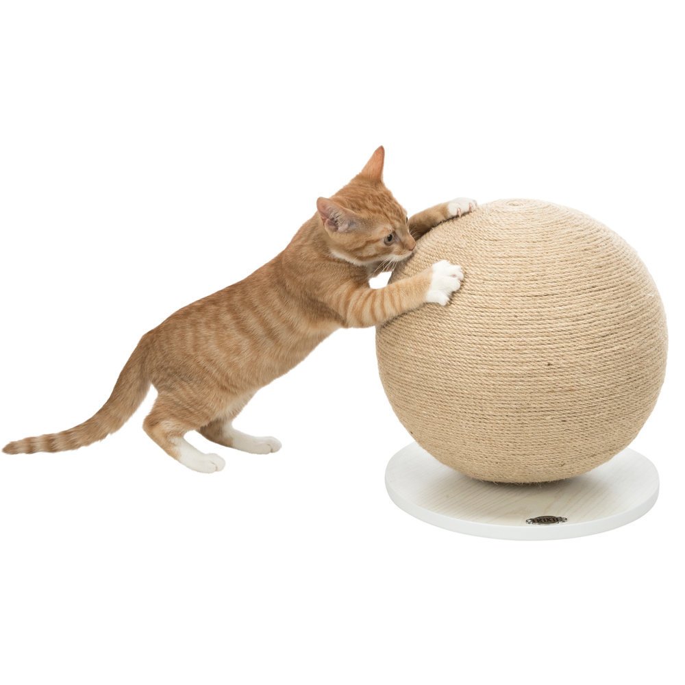 Kratzball für Katzen