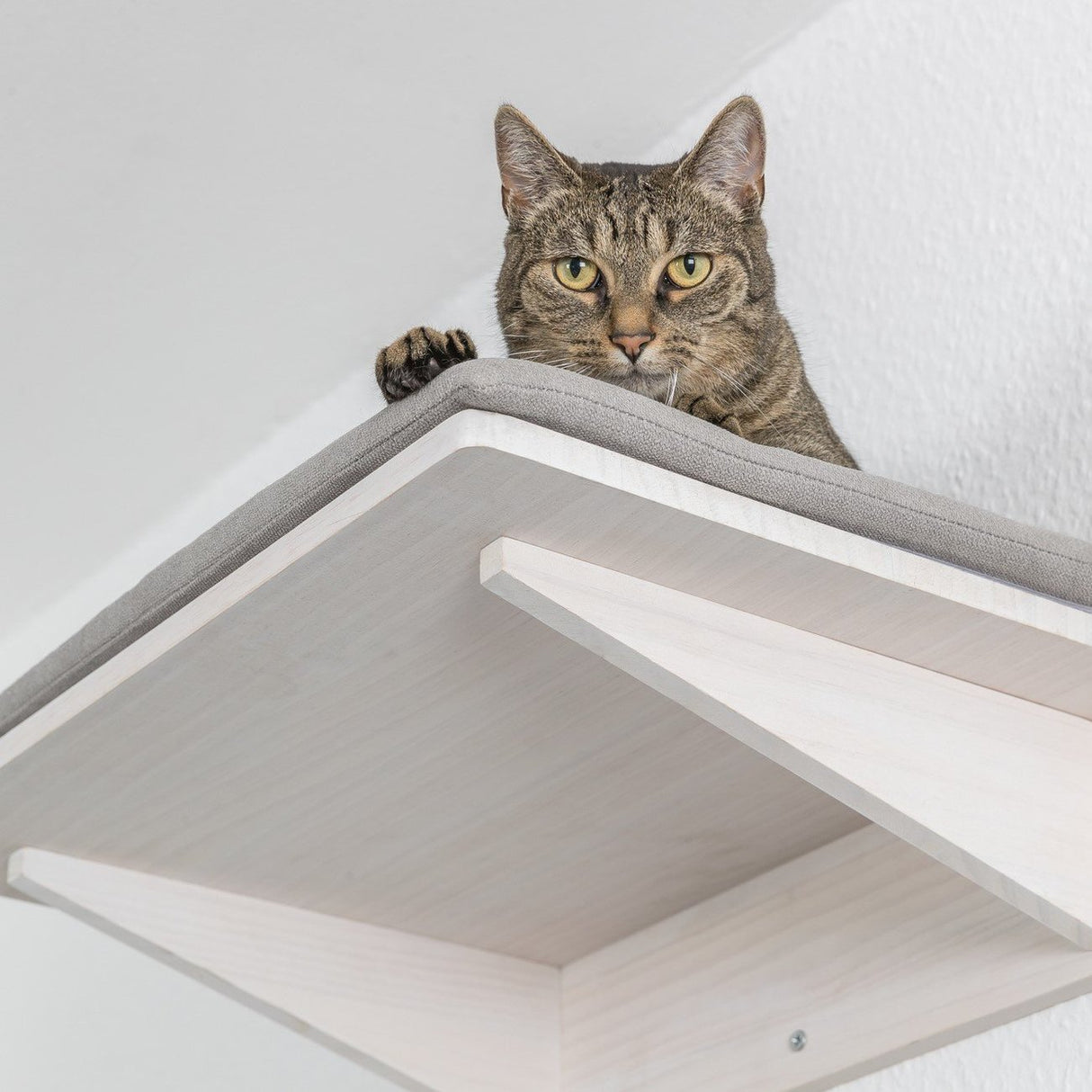 Liegeplatte zur Wandmontage