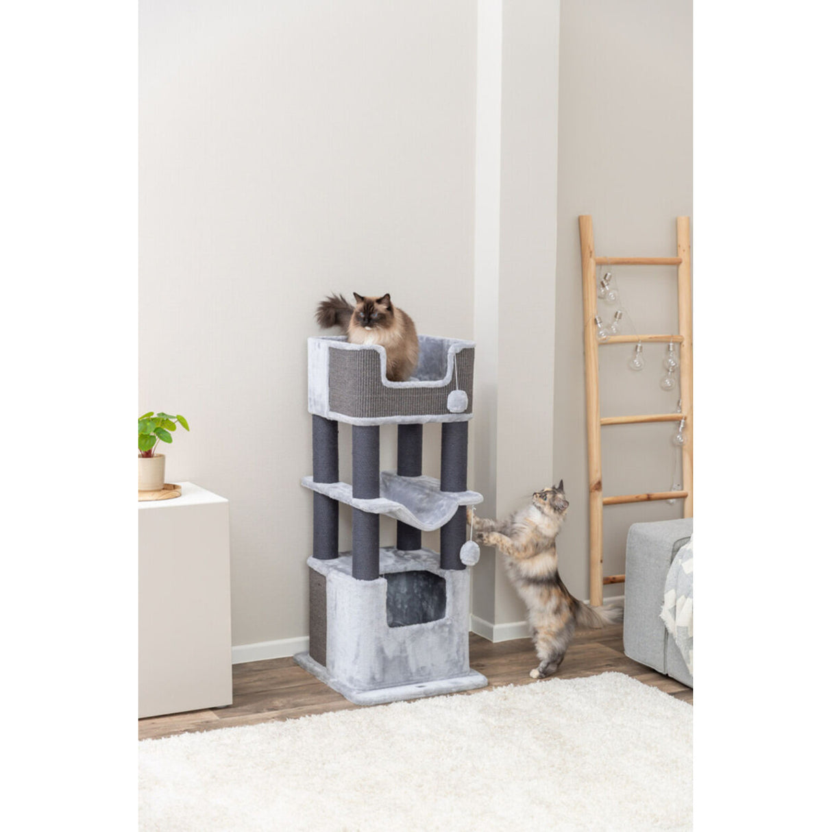 TRIXIE Lucano XXL Kratzbaum & Katzenmöbel | Besonders robust für große Katzen