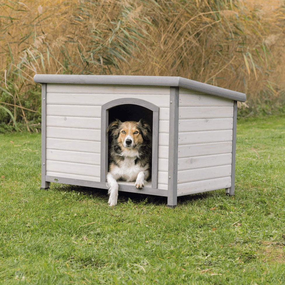 Hundehütte Classic aus Kiefernholz