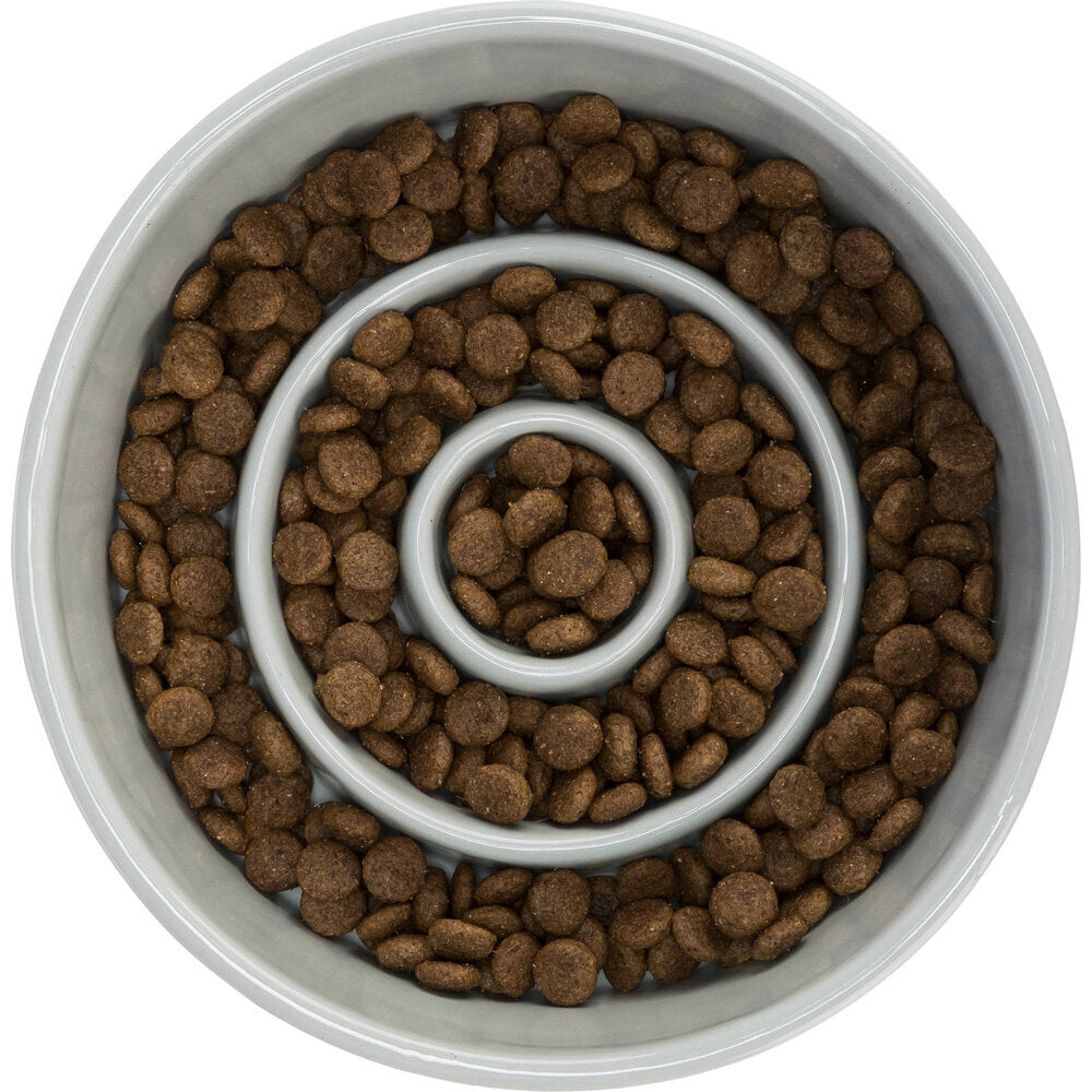 Slow Feeding Keramiknapf für Hunde