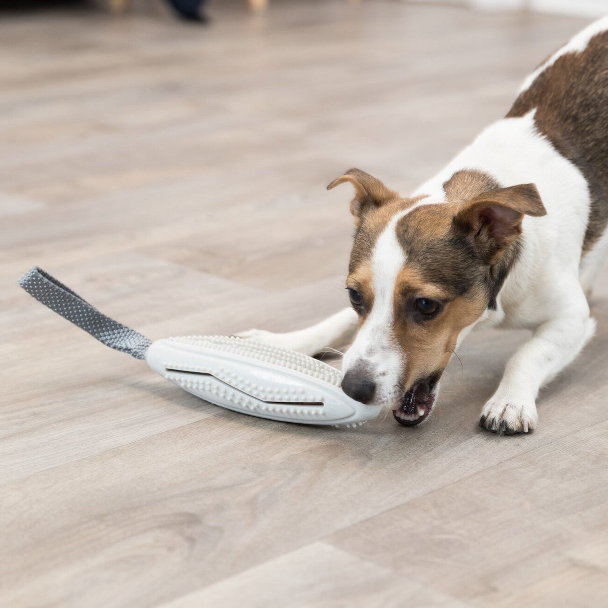 Snack-Stick am Gurt für Hunde
