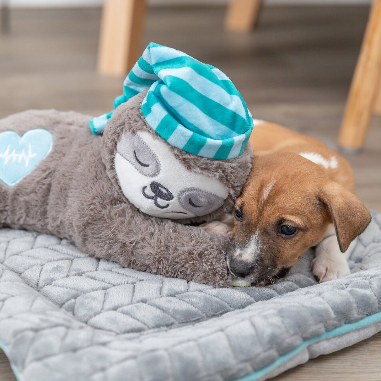 Faultier Hundespielzeug unterstützt beim Einschlafen