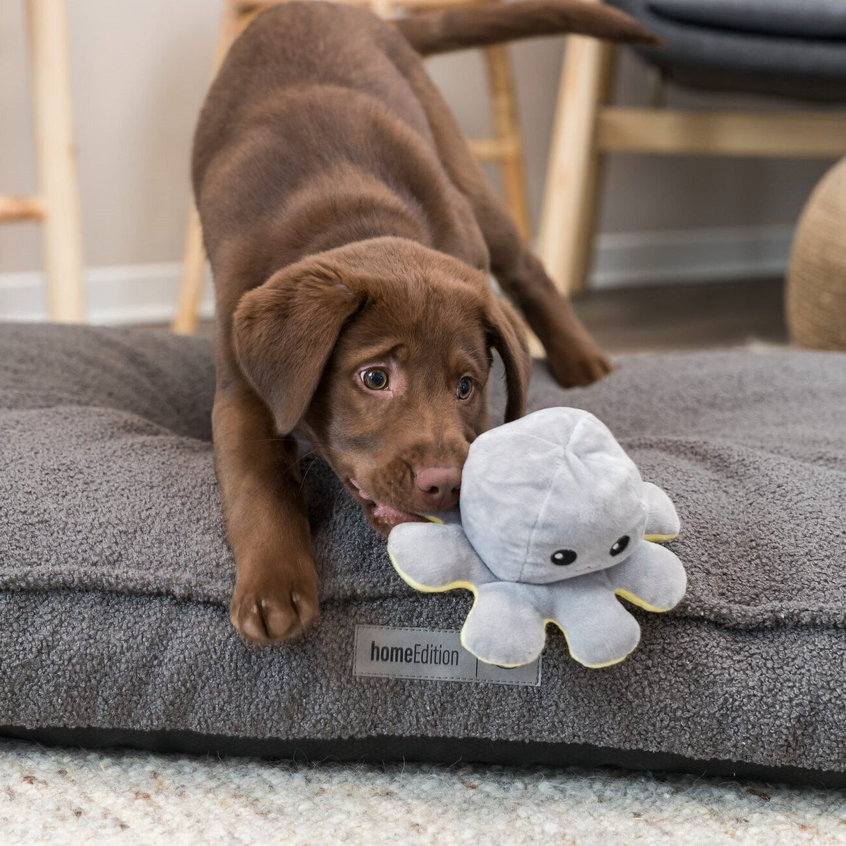 Wende-Oktopus für Hunde
