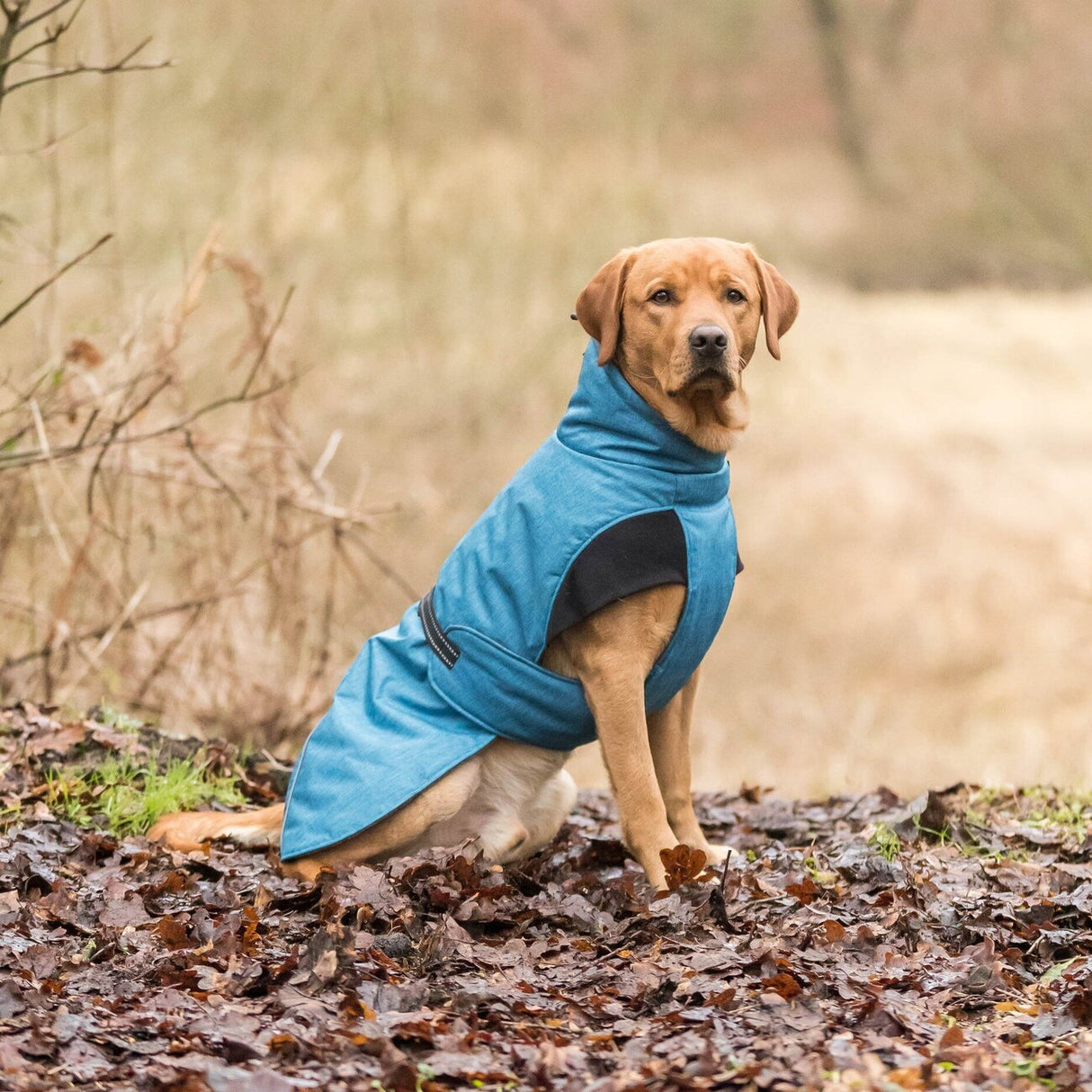 Hundemantel Riom für den Winter