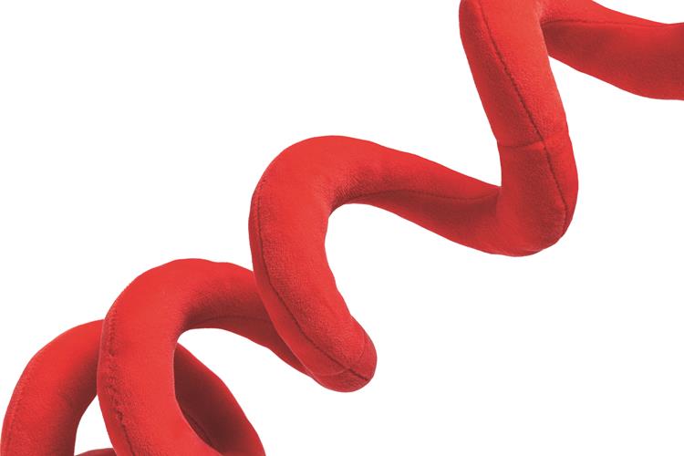 Beeztees Xmas Plüsch-Spirale – Weihnachtsspielzeug für Hunde, 35 cm