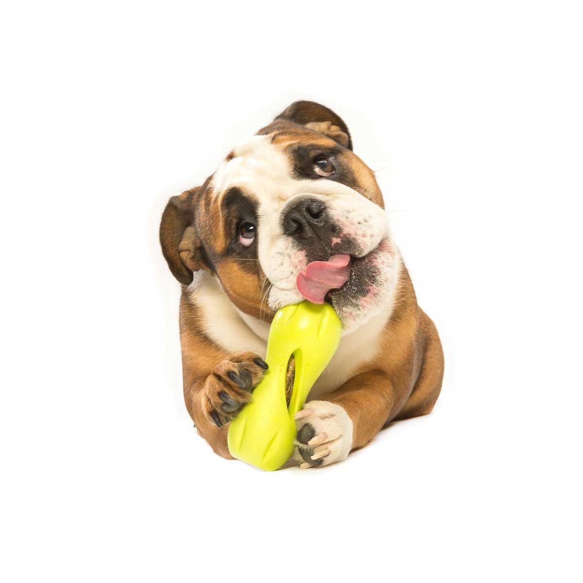 West Paw Qwizl für Hunde
