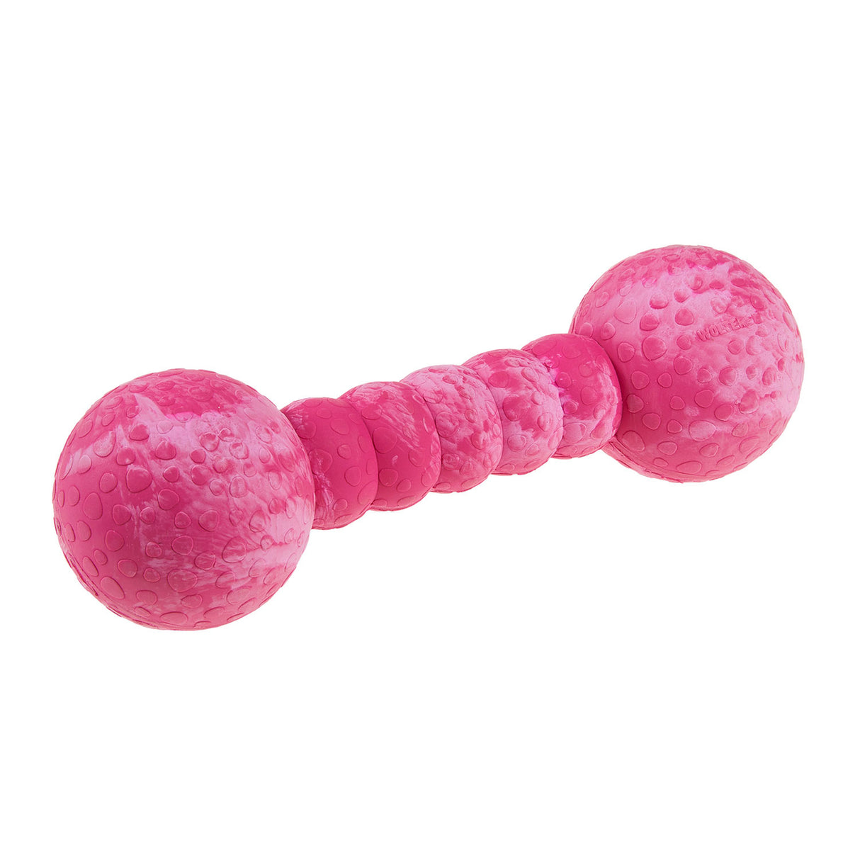 Wolters Aqua-Fun Gym Hundespielzeug