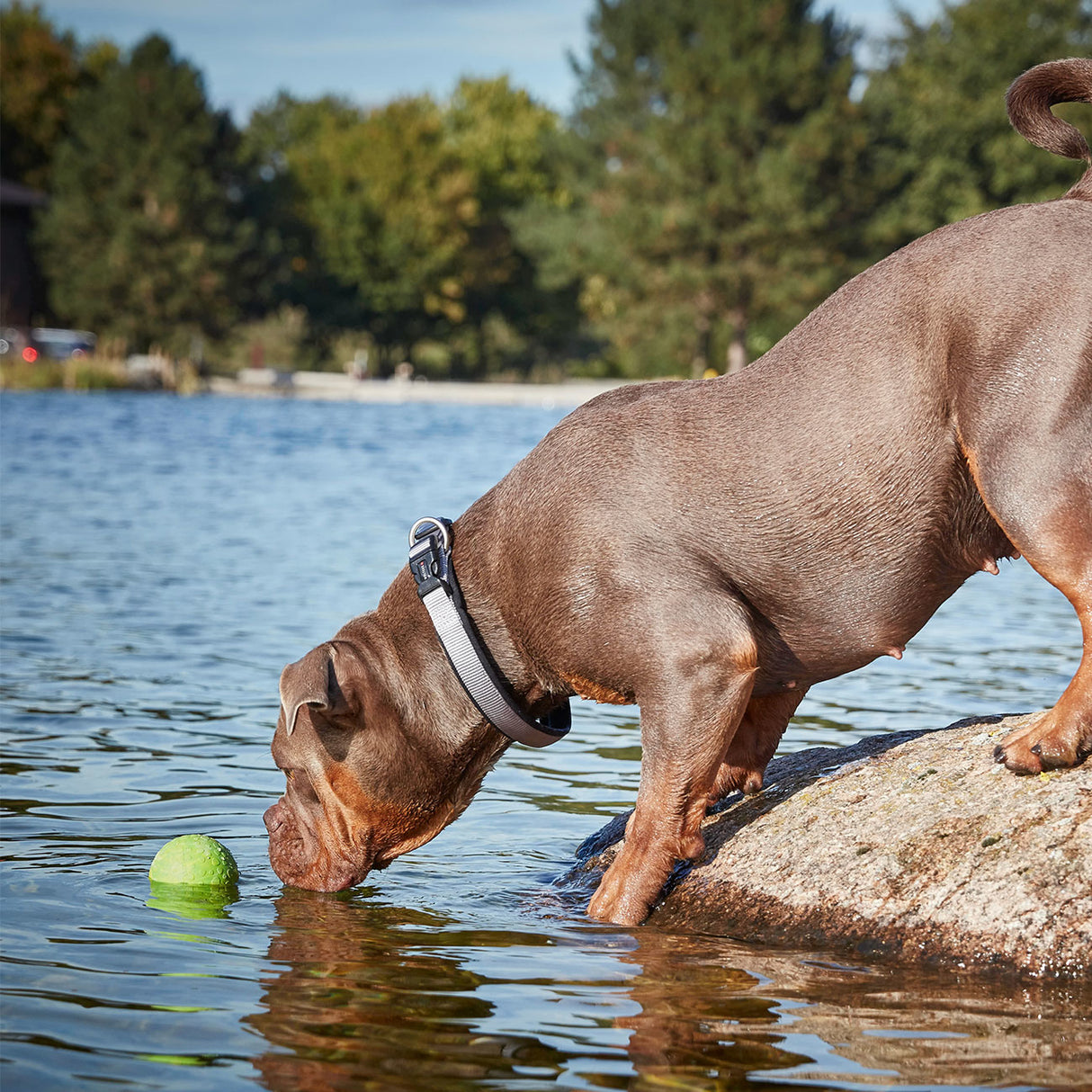 Wolters Aqua-Fun Wasserball Hundespielzeug