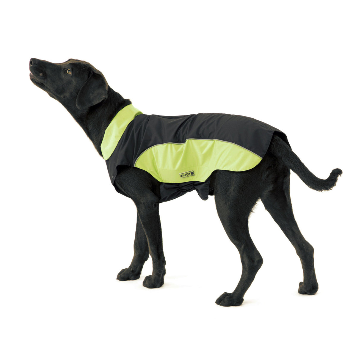 Wolters Regenjacke für Hunde Easy Rain