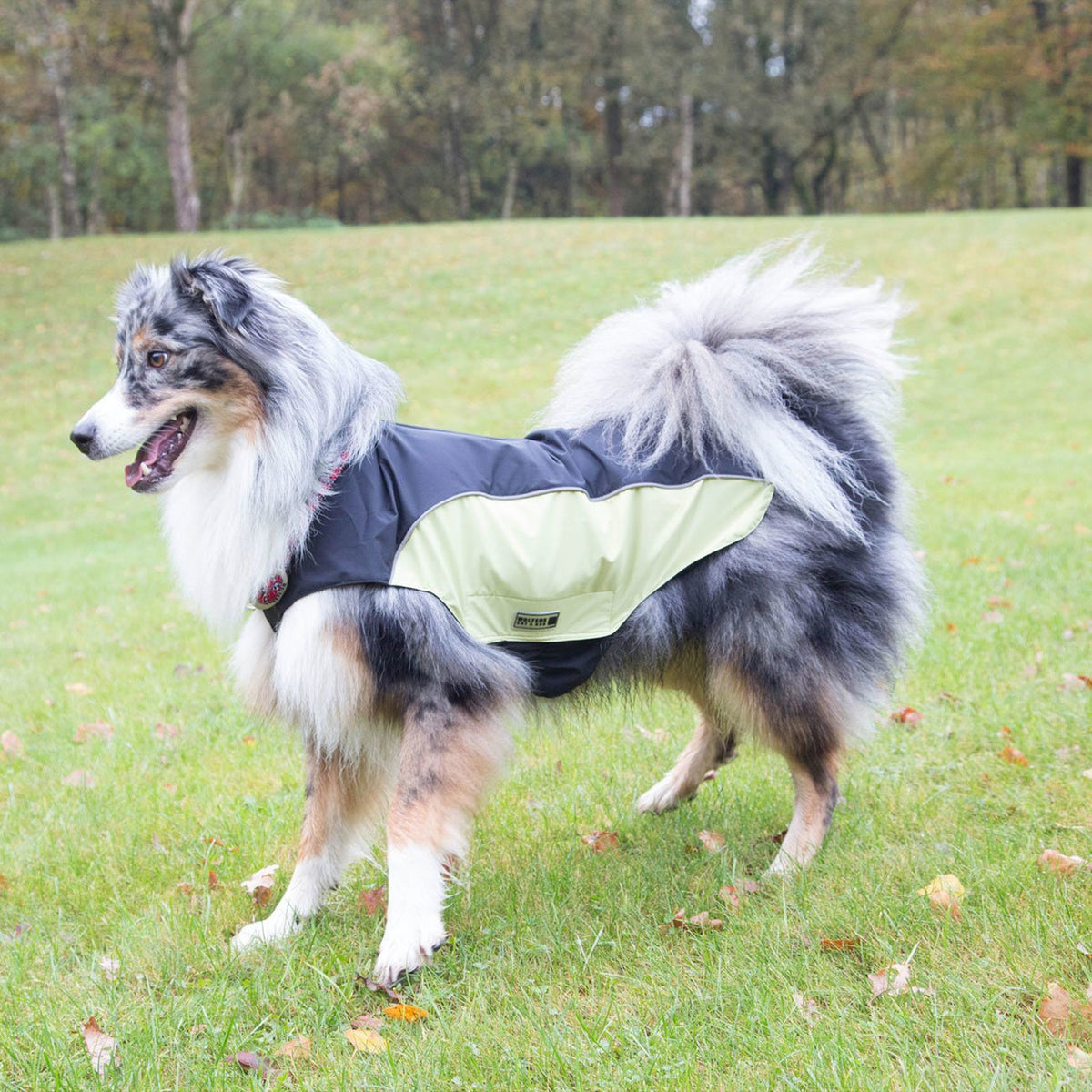 Wolters Regenjacke für Hunde Easy Rain