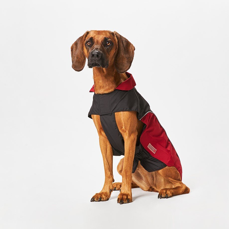 Wolters Regenjacke für Hunde Easy Rain
