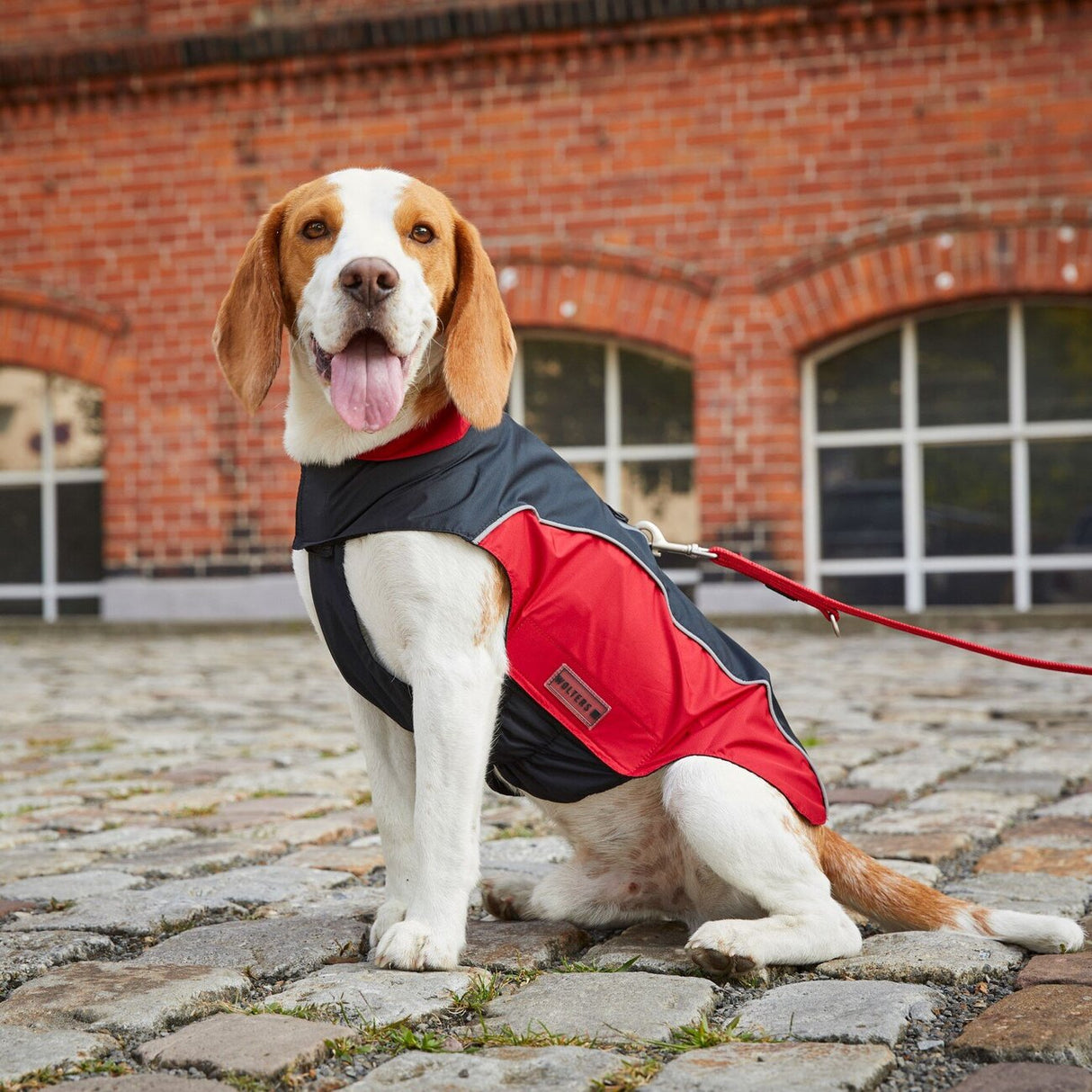 Wolters Regenjacke für Hunde Easy Rain