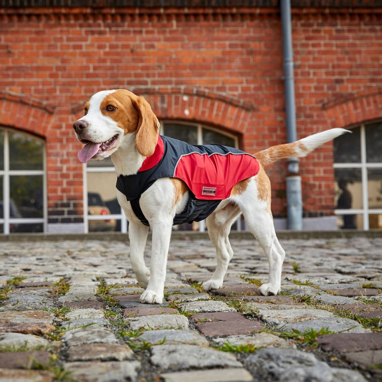 Wolters Regenjacke für Hunde Easy Rain