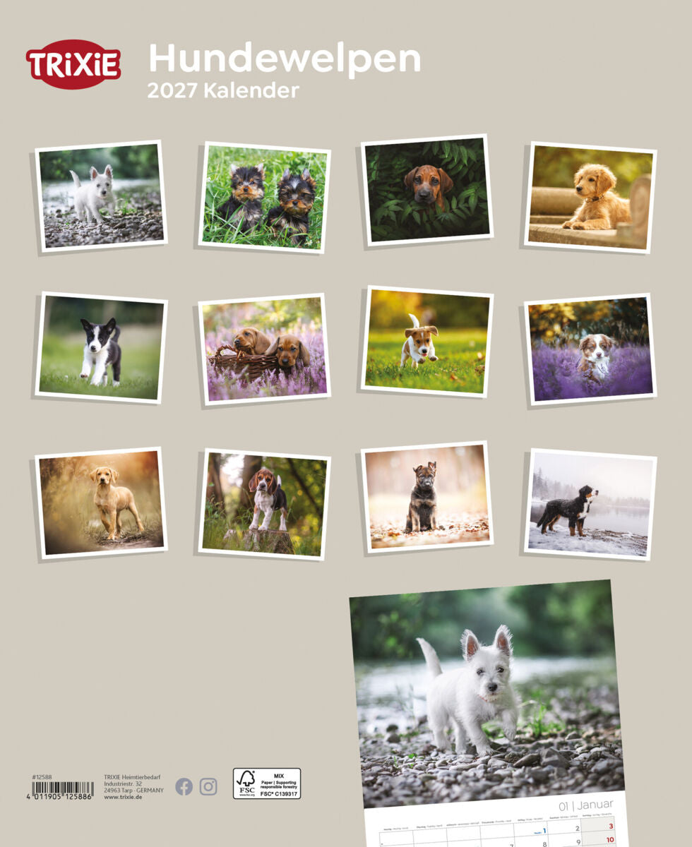 2027 Kalender Hundewelpen