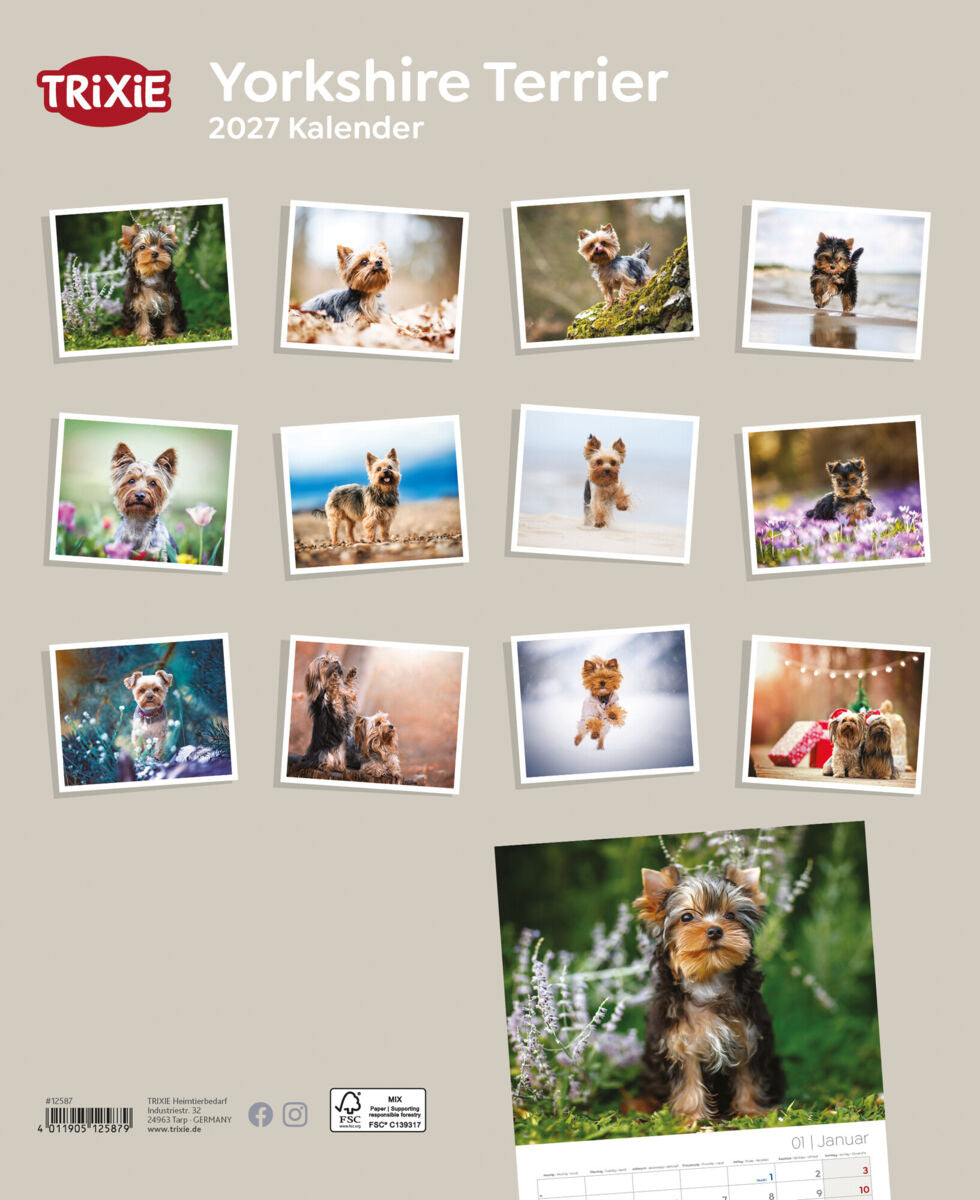 2027 Kalender Yorkshire Terrier