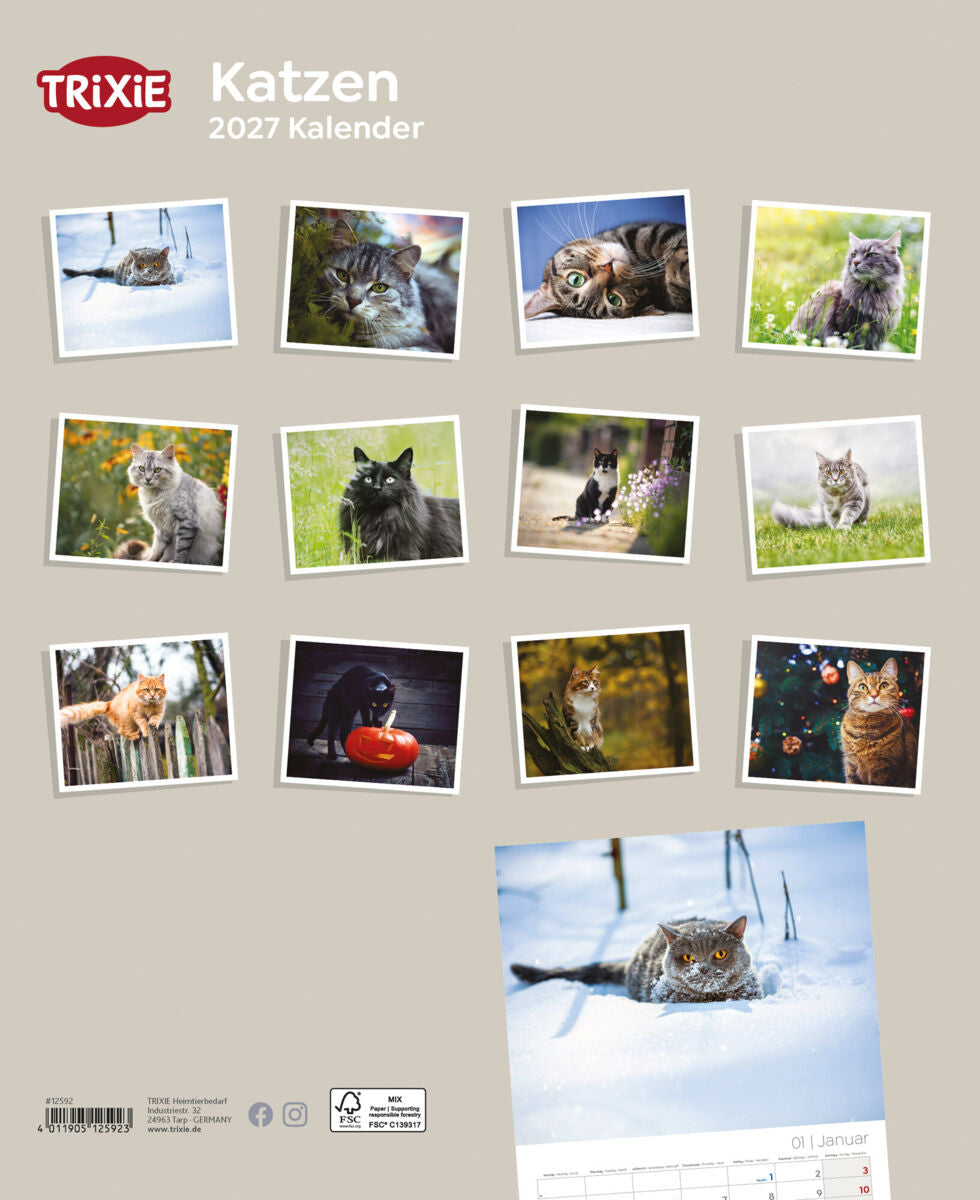 2027 Kalender Katzen