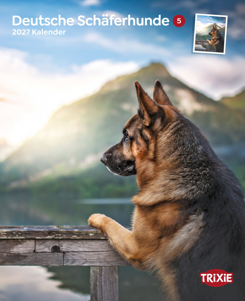 2027 Kalender Deutsche Schäferhunde