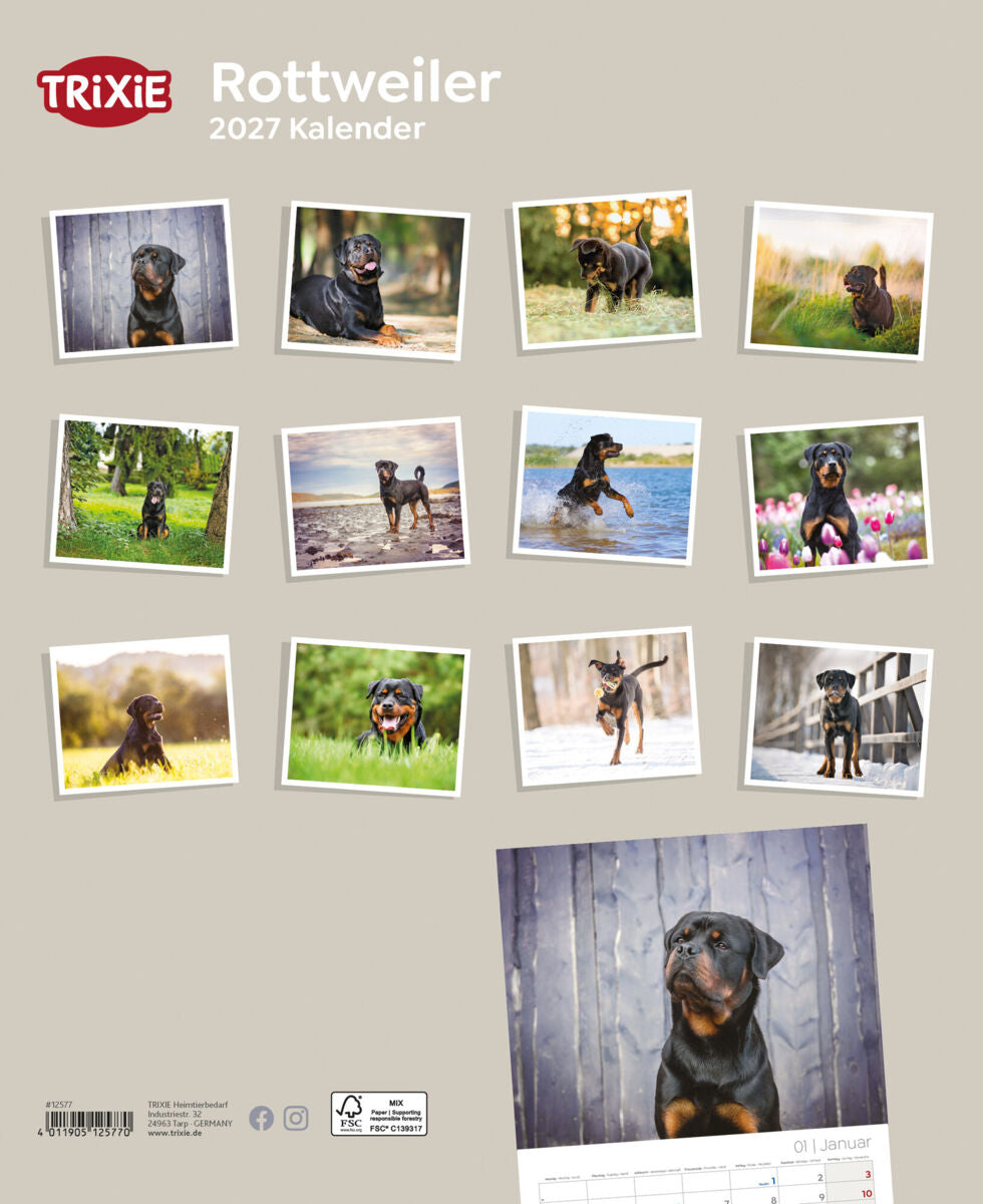 2027 Kalender Rottweiler